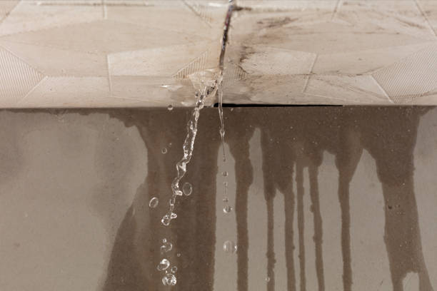 Professional Water Damage Repair technician working in Fleming, OH